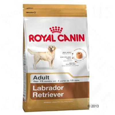 Foto Royal Canin Breed Labrador Retriever Adult - 12 kg