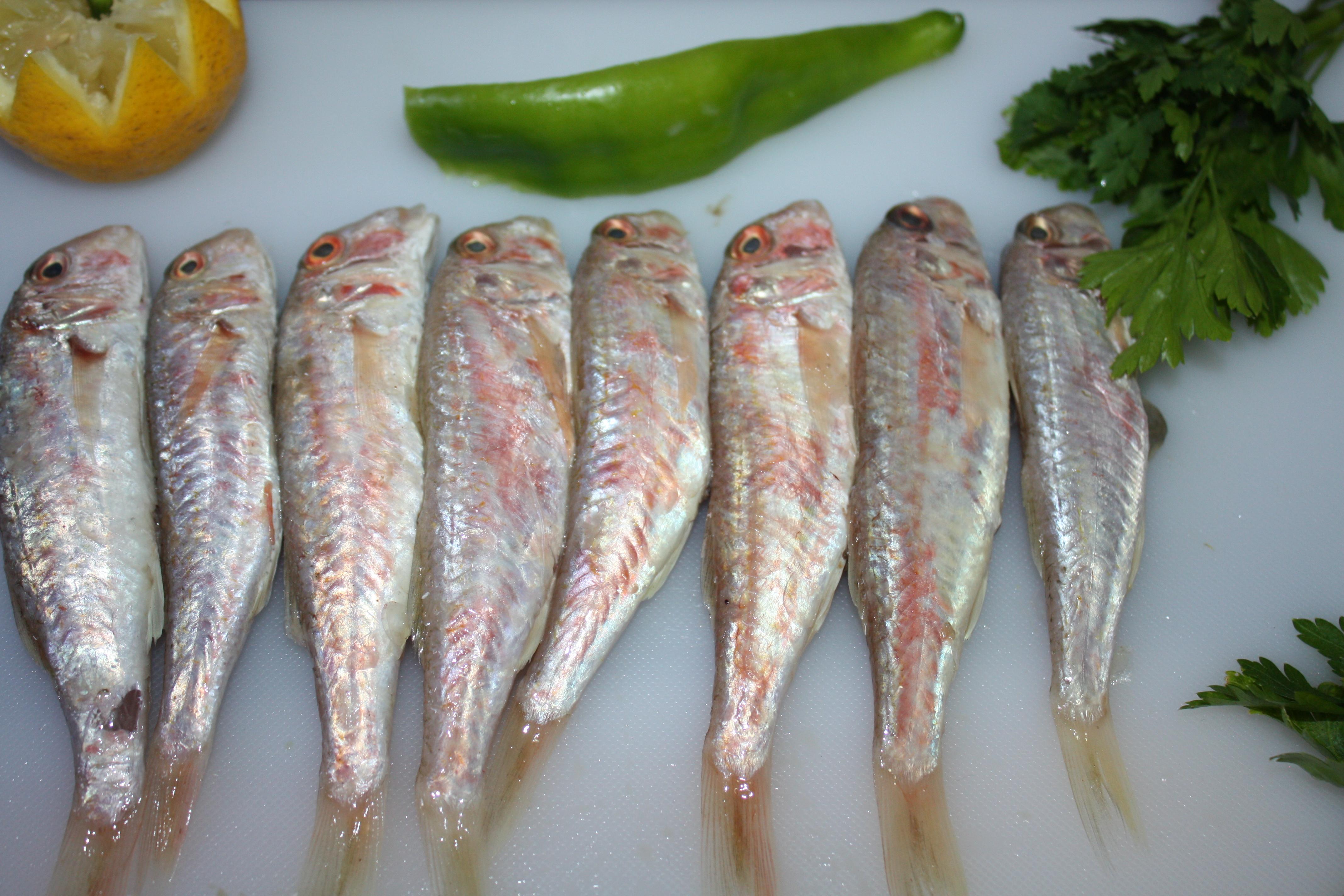 Foto Salmonetes de Fango