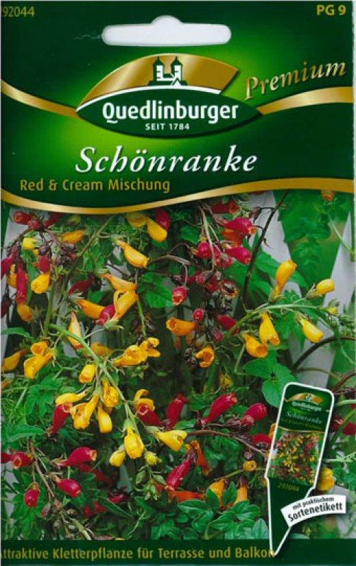 Foto Schönranke 'Red & Cream Mix' - Eccremocarpus scaber - Samen foto 781152