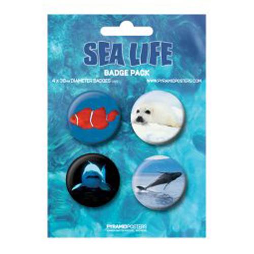 Foto Sea Life, Size 3.8 Cm Merchandise foto 131445