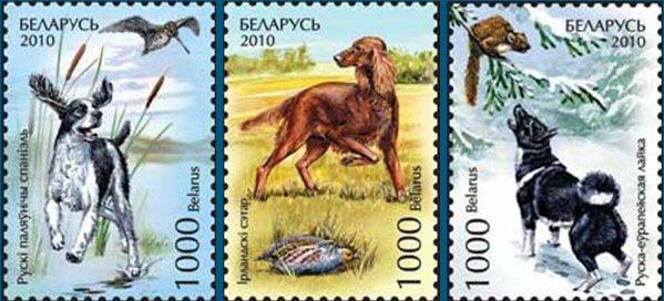 Foto Sello de Bielorrusia 719-721 Fauna. Perros de caza foto 782633