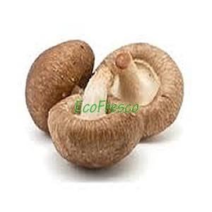 Foto Seta shitake ecologica 2 kg