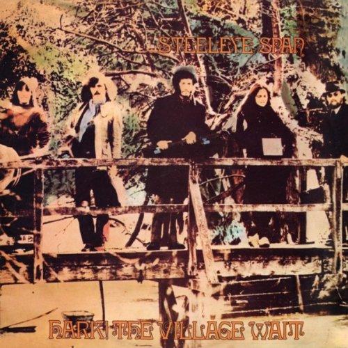 Foto Steeleye Span: Hark! The Village Wait CD