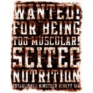 Foto T-shirt ca-12 camiseta wanted by scitec