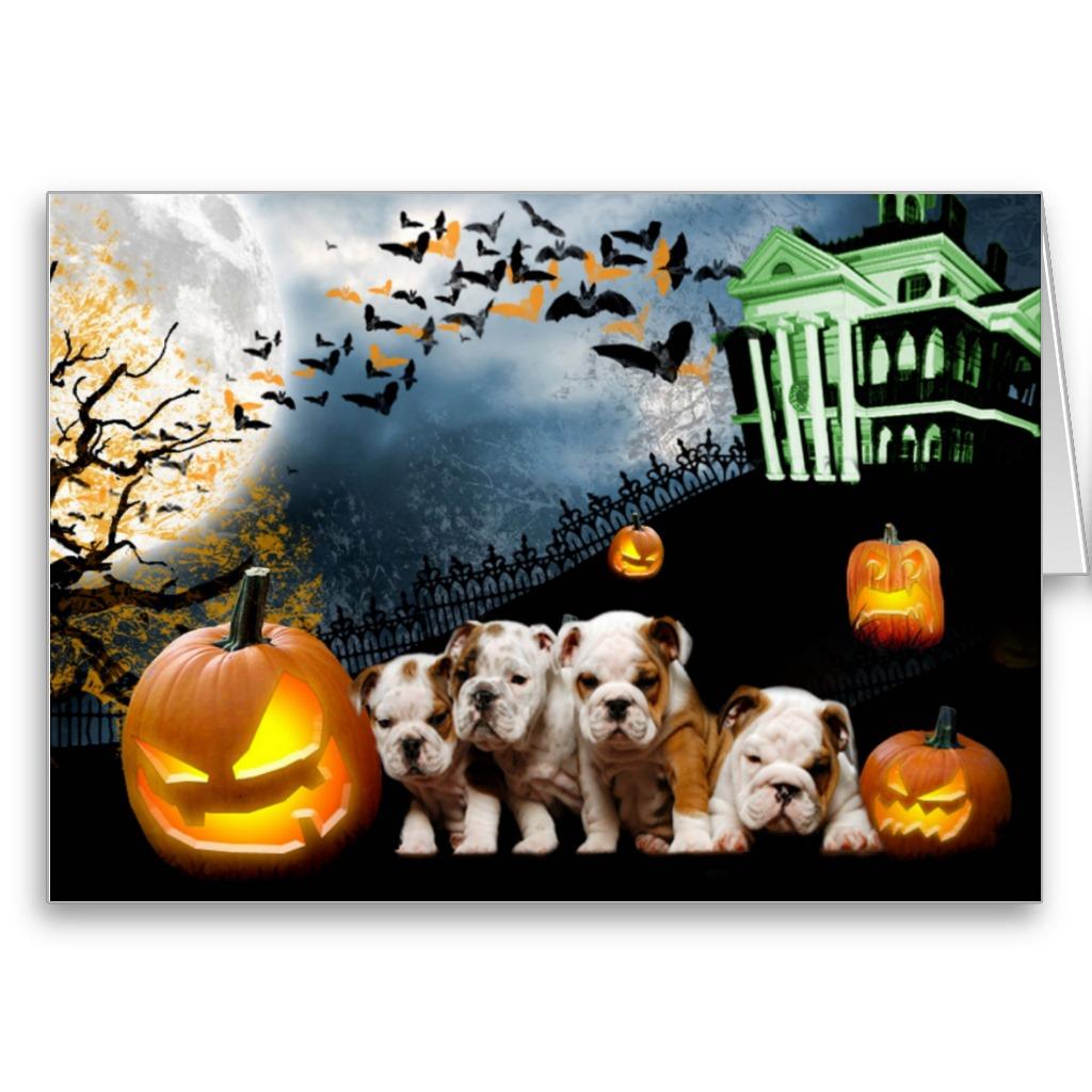 Foto Tarjeta de Halloween del dogo foto 914275
