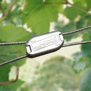 Foto Tensor-Conector MX2 MAXTENSOR foto 359054