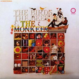 Foto The Birds,The Bees & The Monk Vinyl foto 579875