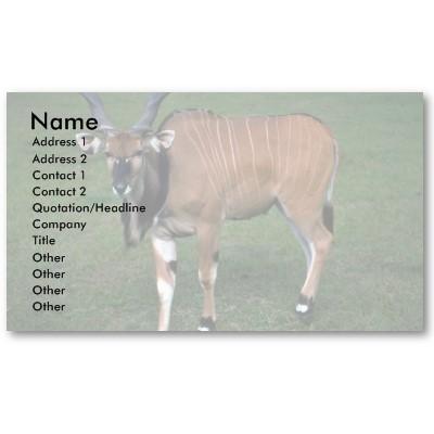 Foto Toro Eland-joven del gigante/de señor Derby Tarjetas De Negocios foto 205250