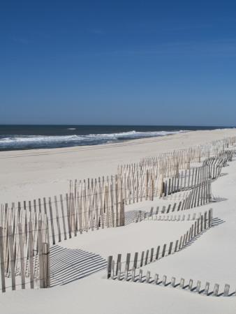 Foto USA, New York, Long Island, the Hamptons, Westhampton Beach, Beach Erosion Fence, Walter Bibikow - Laminas foto 524670