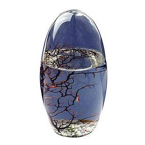 Foto Varios > Ecosfera Oval Grande foto 816705