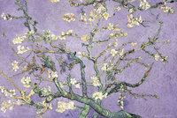 Foto Vincent Van Gogh - purple blossom póster