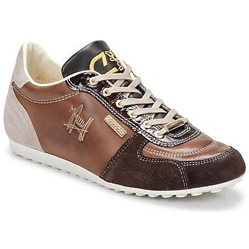 Foto Zapatillas Cruyff Alano foto 309527